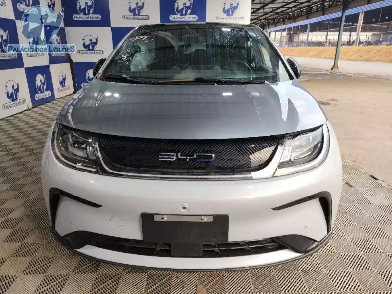 BYD DOLPHIN PLUS 310EV  2025